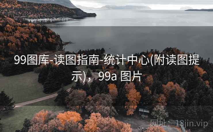 99图库-读图指南-统计中心(附读图提示)，99a 图片